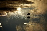 /album/photo-gallery-silhouette/%e7%a7%8b%e3%81%ae%e7%a9%ba%e3%81%af%e3%81%aa%e3%82%93%e3%81%a8%e3%82%84%e3%82%89-%ef%bd%a5%ef%bd%a5%ef%bd%a5%e6%b0%b4%e6%ba%9c%e3%82%8a%e3%81%ae%e5%a4%95%e9%99%bd-jpg1/